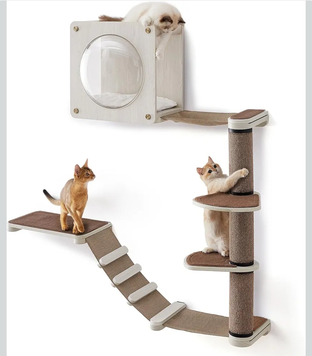 Feandrea Muebles de pared para gatos