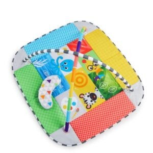 Baby Einstein - Gimnasio de actividades y piscina