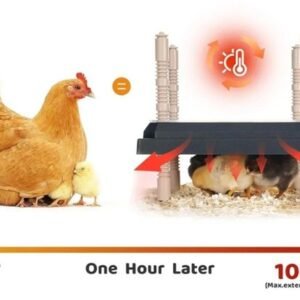 Placa calefactora para pollitos