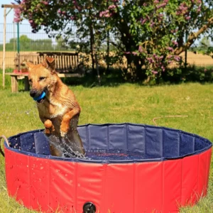 Piscina plegable para mascotas - PVC - lionto
