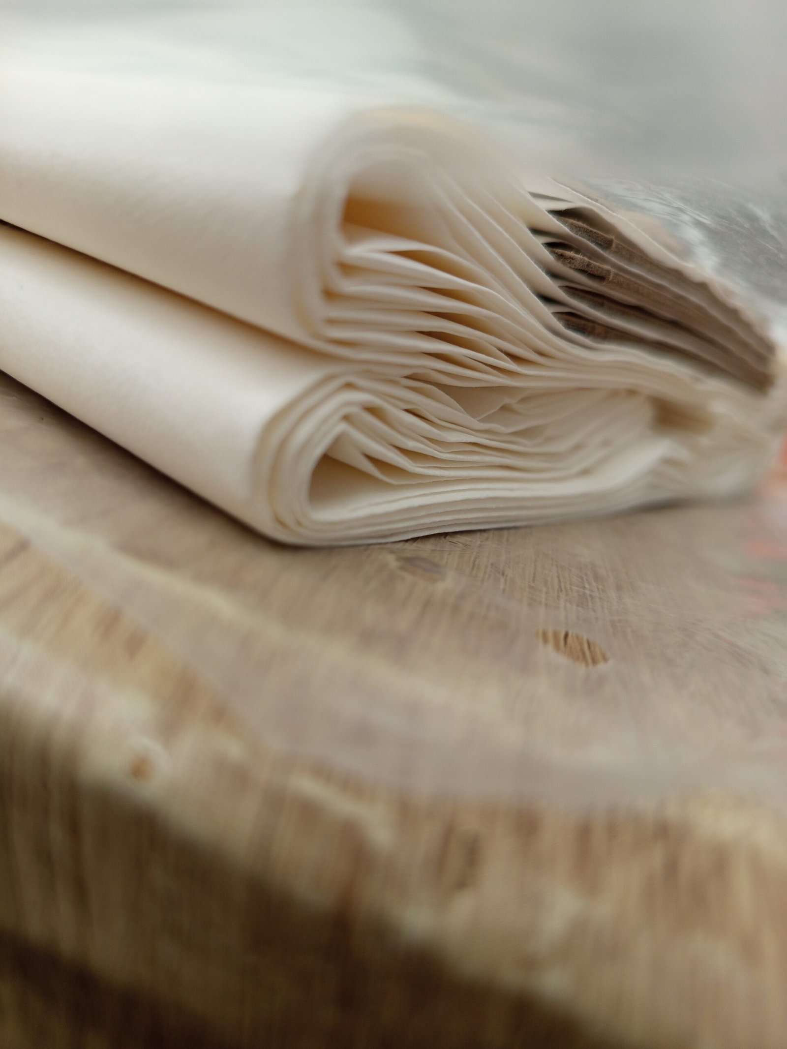 Vacmaster Bolsas universales para aspiradoras - Imagen 5