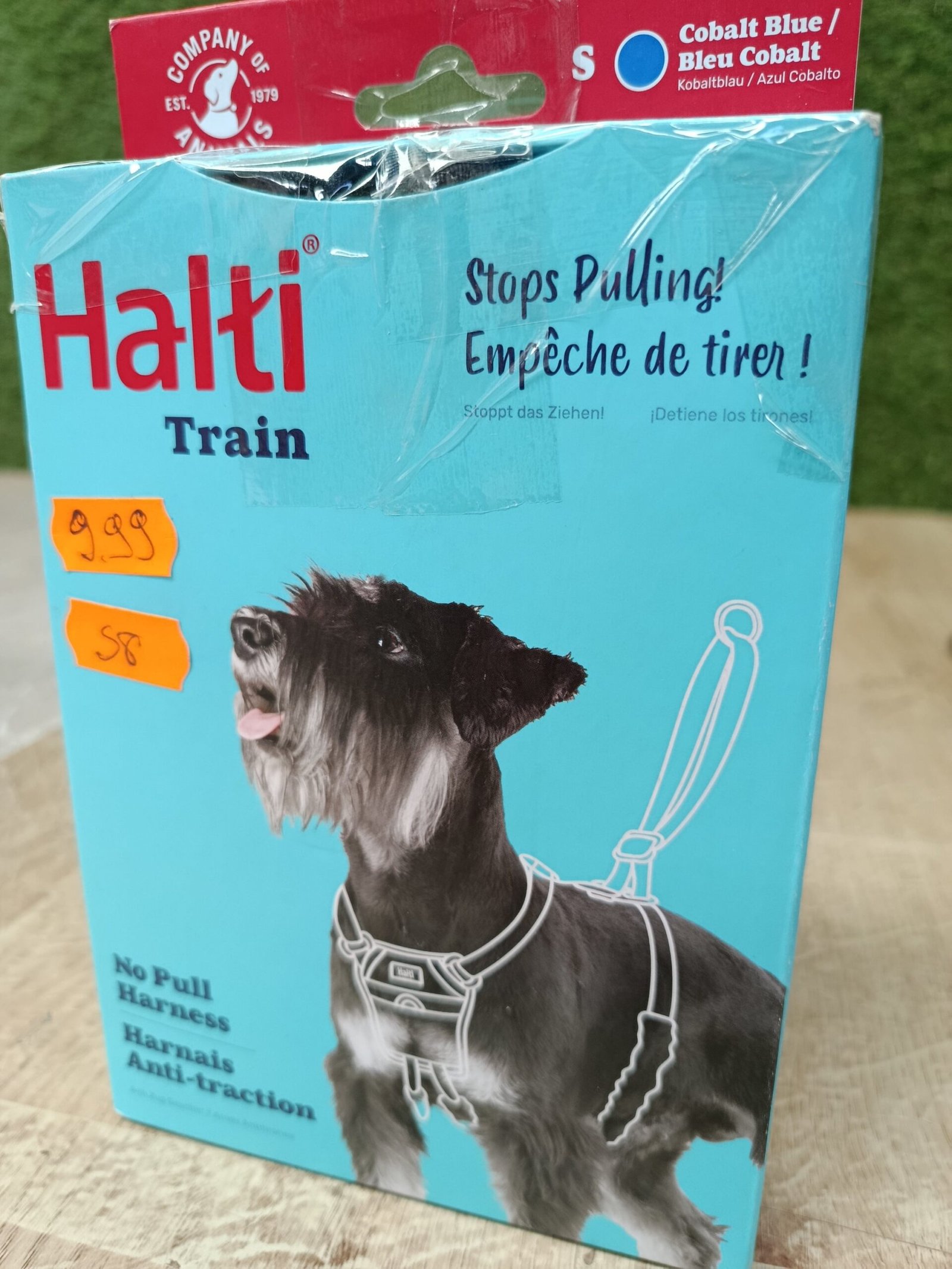 Arnés anti tirones - Talla S, Azul Cobalto - HALTI - Imagen 5