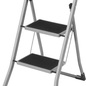 SONGMICS GSL012G01 ESCALERA DE 2 PELDAÑOS.