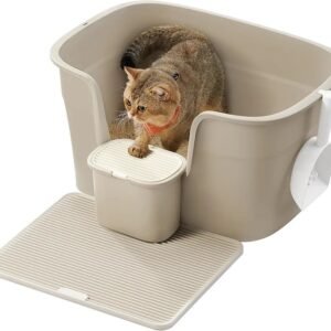 Caja de Arena - PPT003K01 - FEANDREA